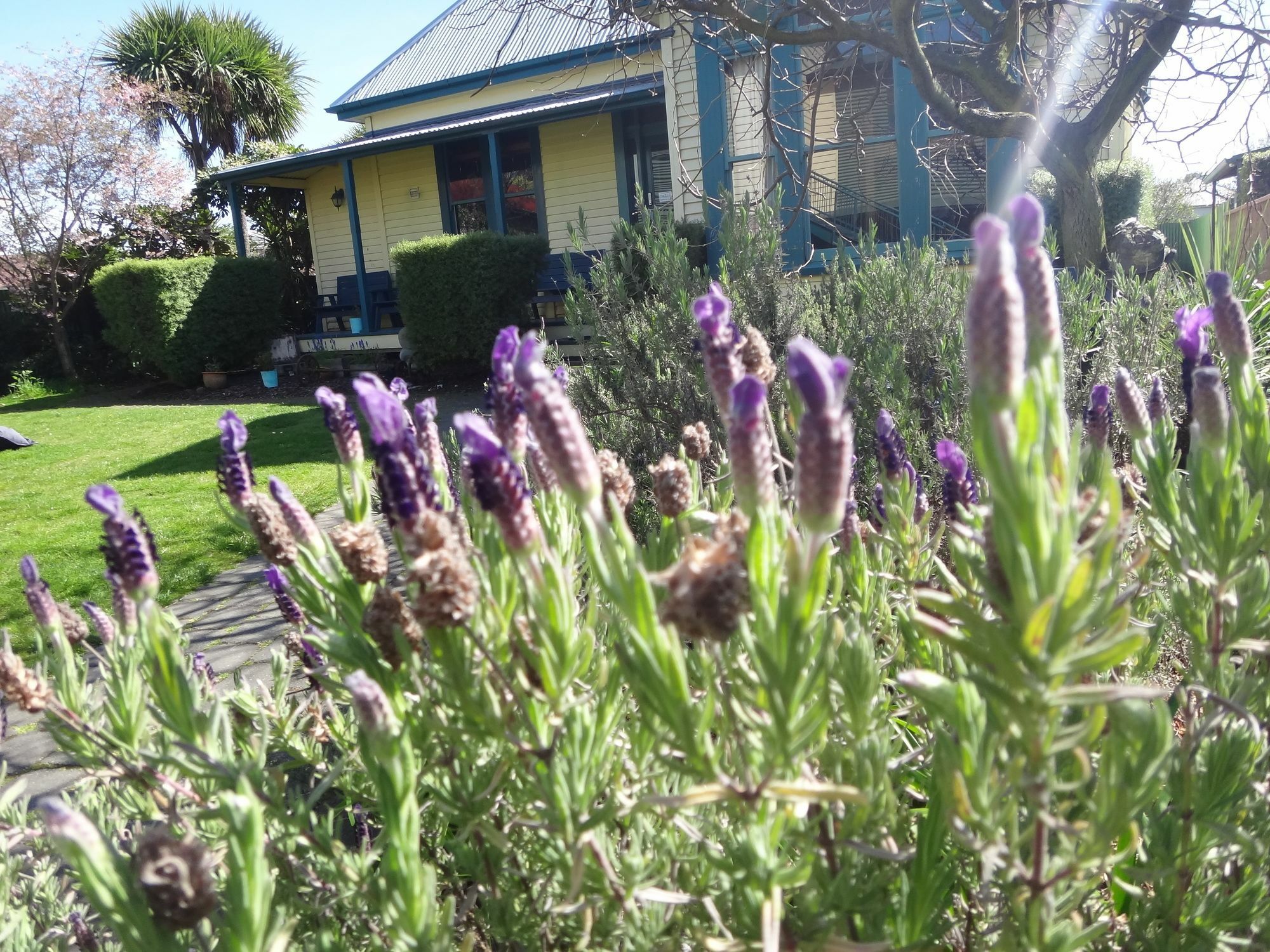 The Old Countryhouse Christchurch Exterior foto